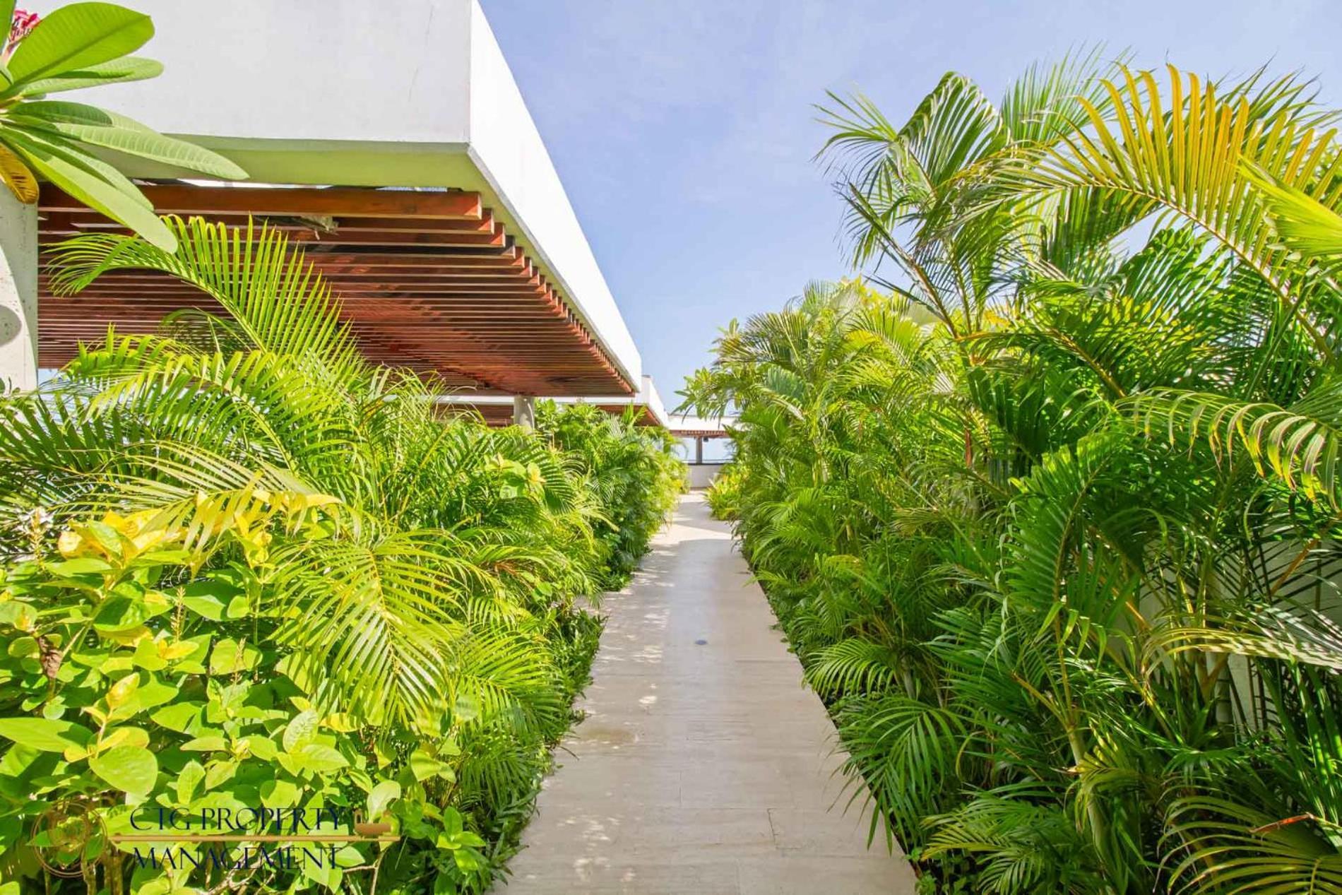 Martinique Cartagena - Apartamentos A Corta Caminata De Playa Azul エクステリア 写真